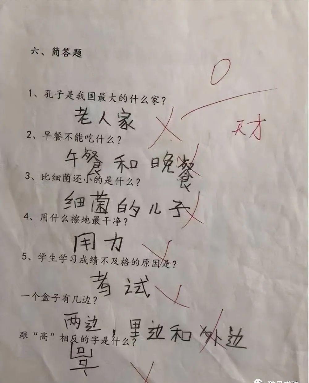 “世界上最长的路是什么路”？小学生用2字机智回答，荣获满分  第5张