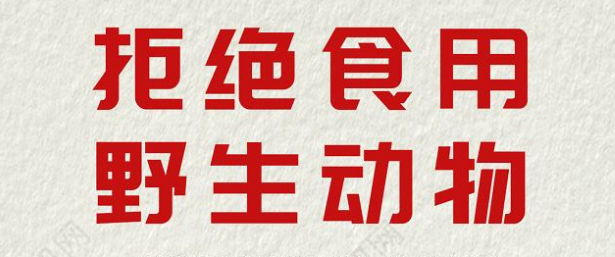 致命病毒卷土重来？2020我们太难了…  第29张