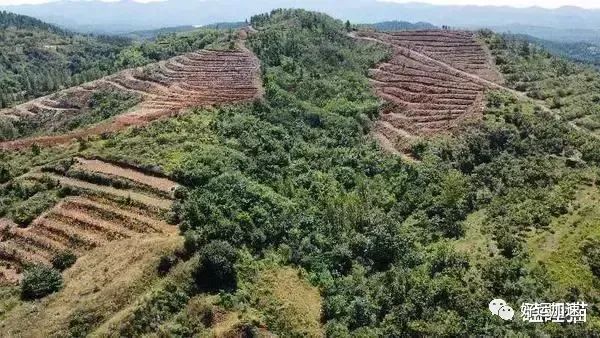 “许家印”在水田建12亩祖坟没人管，老百姓建几十平房子！  第1张