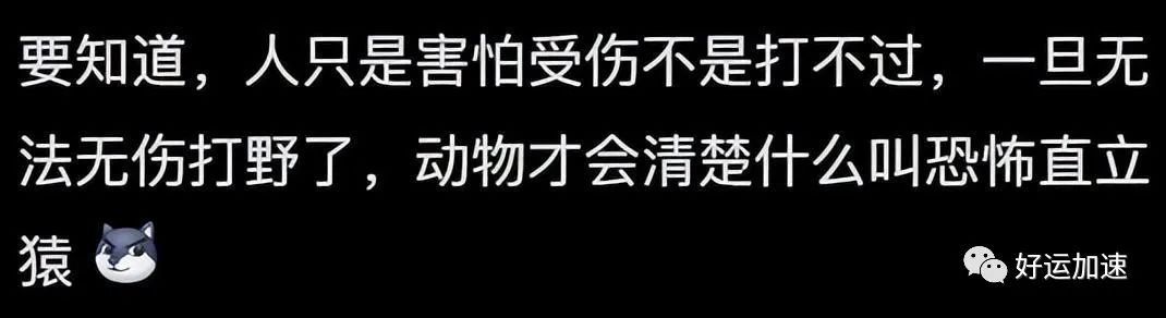 为什么人们不愿交医保了？评论区令人破大防  第35张