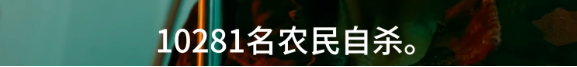 2023年印度电影TOP10，尺度炸裂，太敢拍了！  第4张