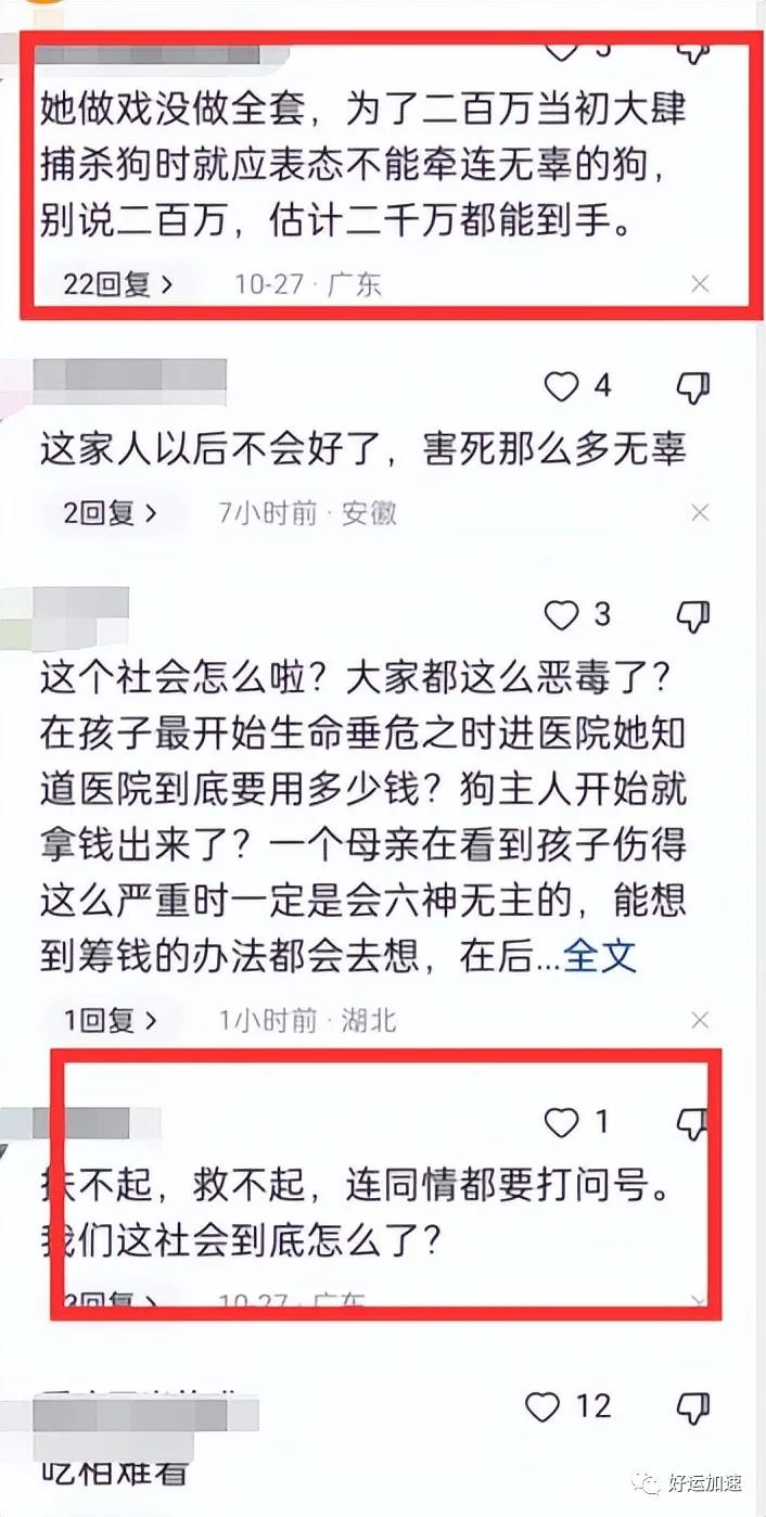 200万已全数归还！小女孩全家遭网曝，一夜之间舆论偏向流浪猫狗  第6张