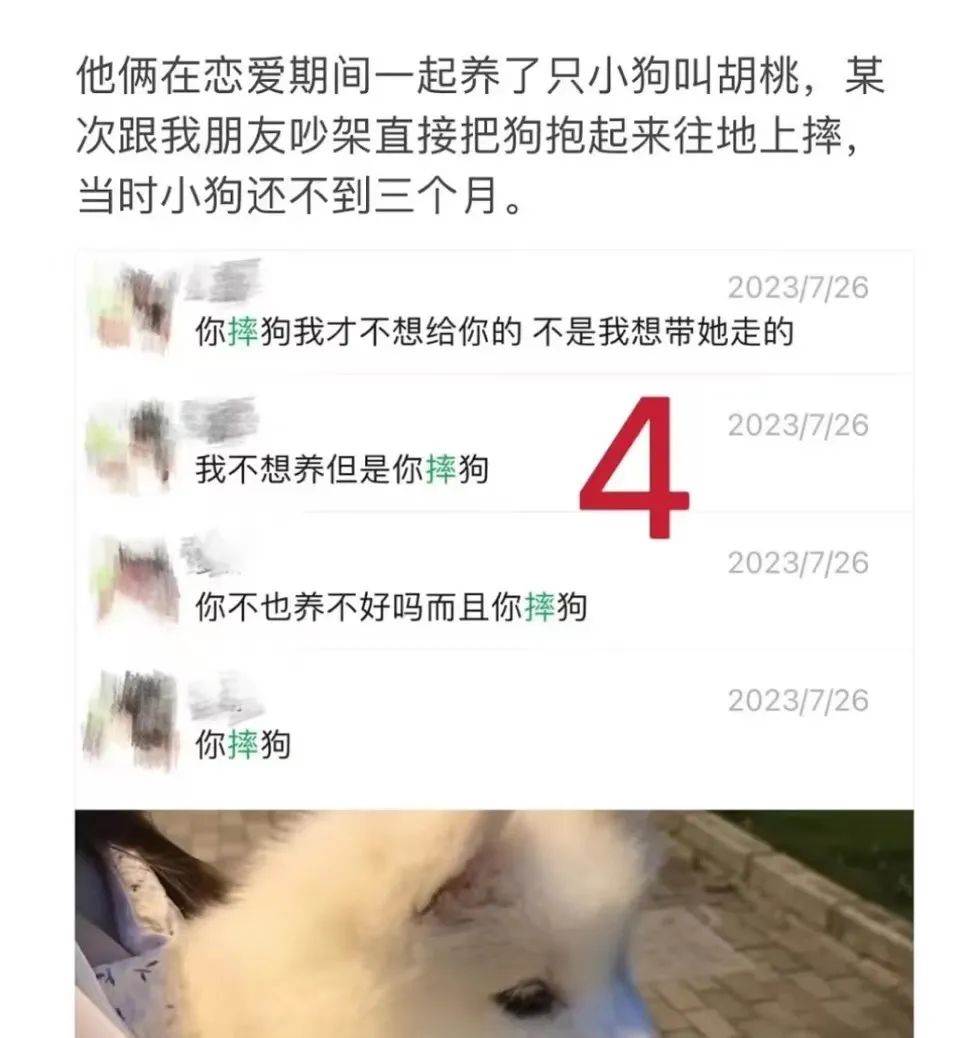 blg二队打野在女友怀孕的时候出轨？还有恋爱期间虐狗？  第5张