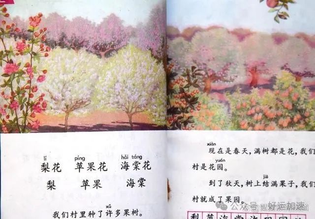 现在回看1988版小学语文课本，不但三观正而且接地气,令人难忘  第2张