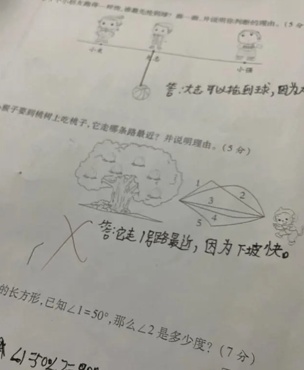 燕子为什么往南飞？小学生给出“终极答案”，老师：来趟办公室  第4张