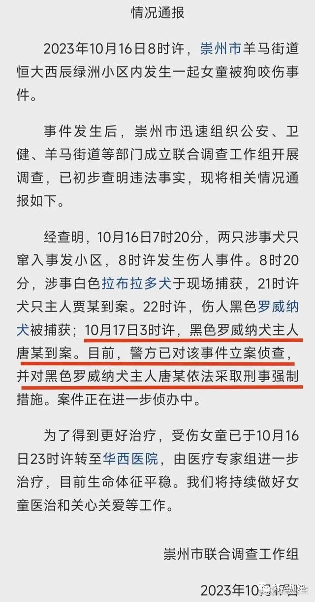 完蛋了！崇州撕咬女童的恶犬主人被刑拘还狡辩，律师：可能判七年  第3张