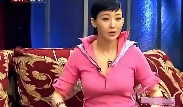 退赛害汪涵当众出丑,疑孕期出轨还让前妻女儿退学上女德班,孙楠被抵制理由充分  第6张