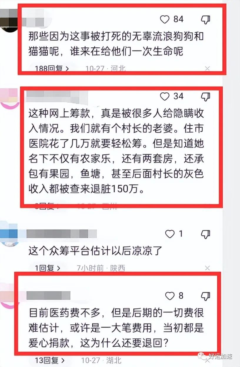 200万已全数归还！小女孩全家遭网曝，一夜之间舆论偏向流浪猫狗