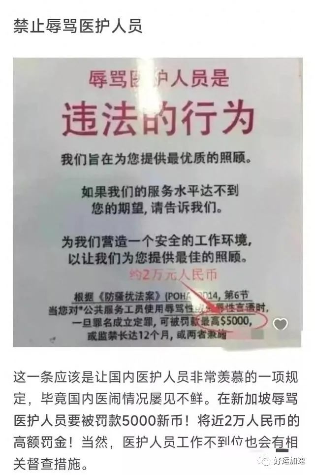 又反转了！新加坡骂护士女主：我认罪我道歉！国内撒泼那套行不通  第11张