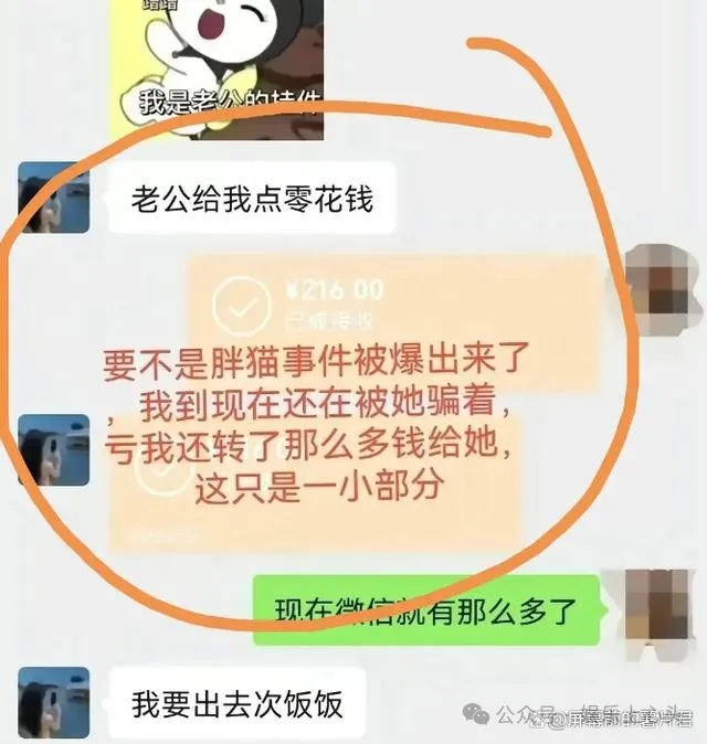 谭竹又一个“老公”被曝光，微信聊天曝光  第4张