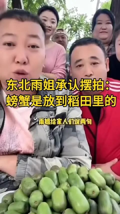 东北雨姐沦为全网笑柄！还牵扯张作霖，曝其花2000万成立孵化公司  第8张