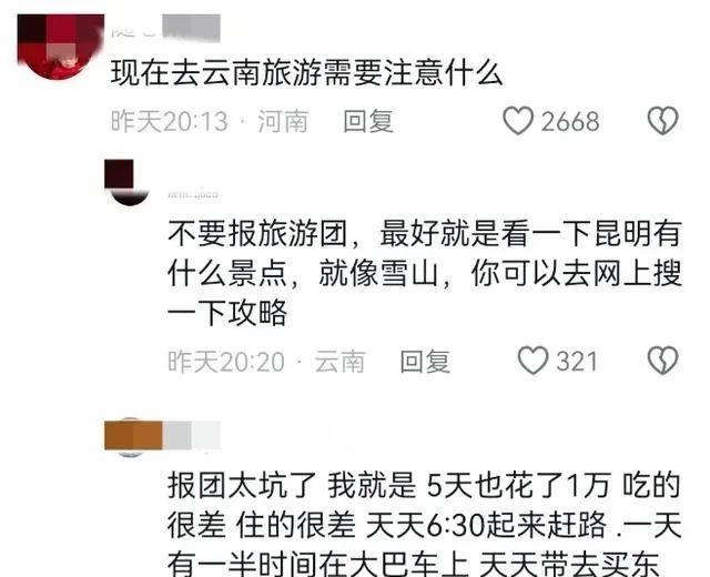 旅行未买5万手镯被赶下车，文旅：导游在接团，没时间当面道歉  第19张