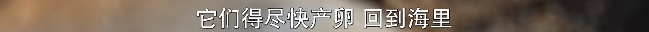 豆瓣9.2的作死片！一口气8集！  第24张