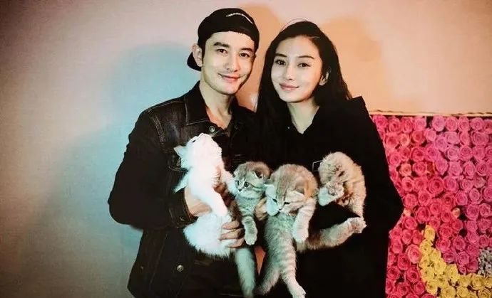 baby为什么会和黄晓明离婚？这背后的故事长达10年