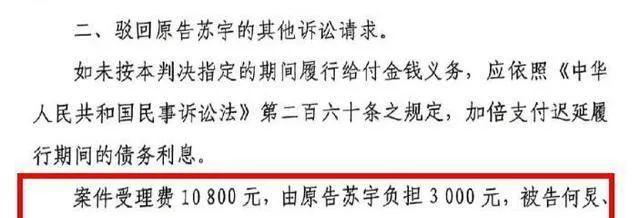 何炅被实名举报欠薪保姆3年，法院判赔14万，保姆索赔100万和房车  第6张