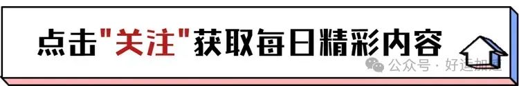 演员丫蛋坦言：嫁给句号老师，是令我不会后悔的决定  第1张