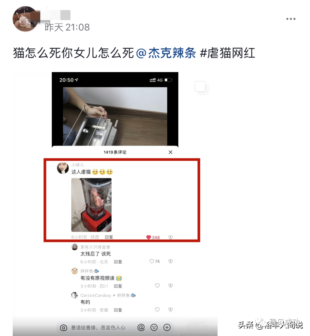 网红“杰克辣条”虐猫画面曝光！绑树上用钳子夹猫爪，评论区沦陷