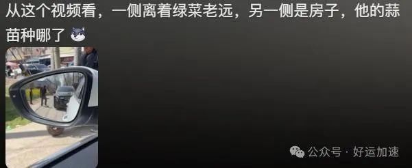 农村大妈石头猛砸奔驰车，美女车主报警后气笑：你压我家蒜苗了！  第18张