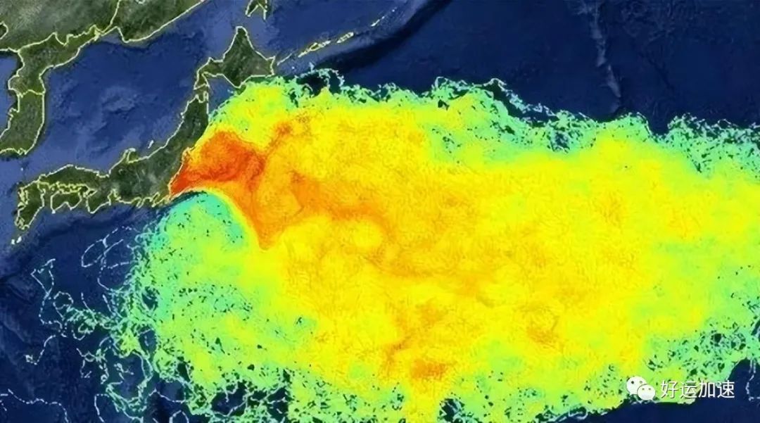 日本海岸连续出现大量死鱼，渔船都寸步难行  第10张