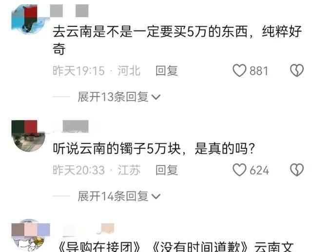 旅行未买5万手镯被赶下车，文旅：导游在接团，没时间当面道歉  第16张