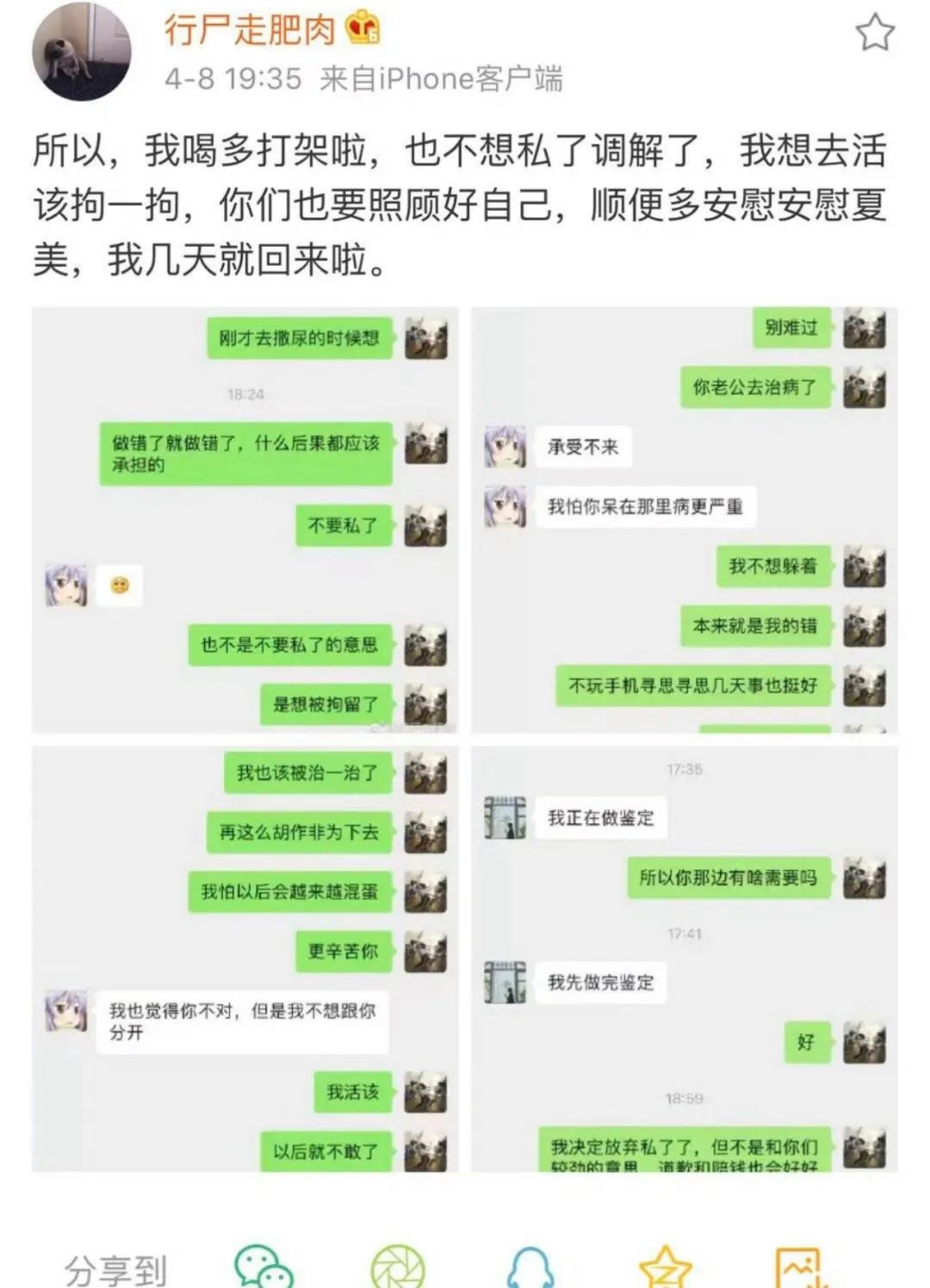 七颗猩猩阴阳合伙人夏美肥肉这对小情侣的印象如何呢