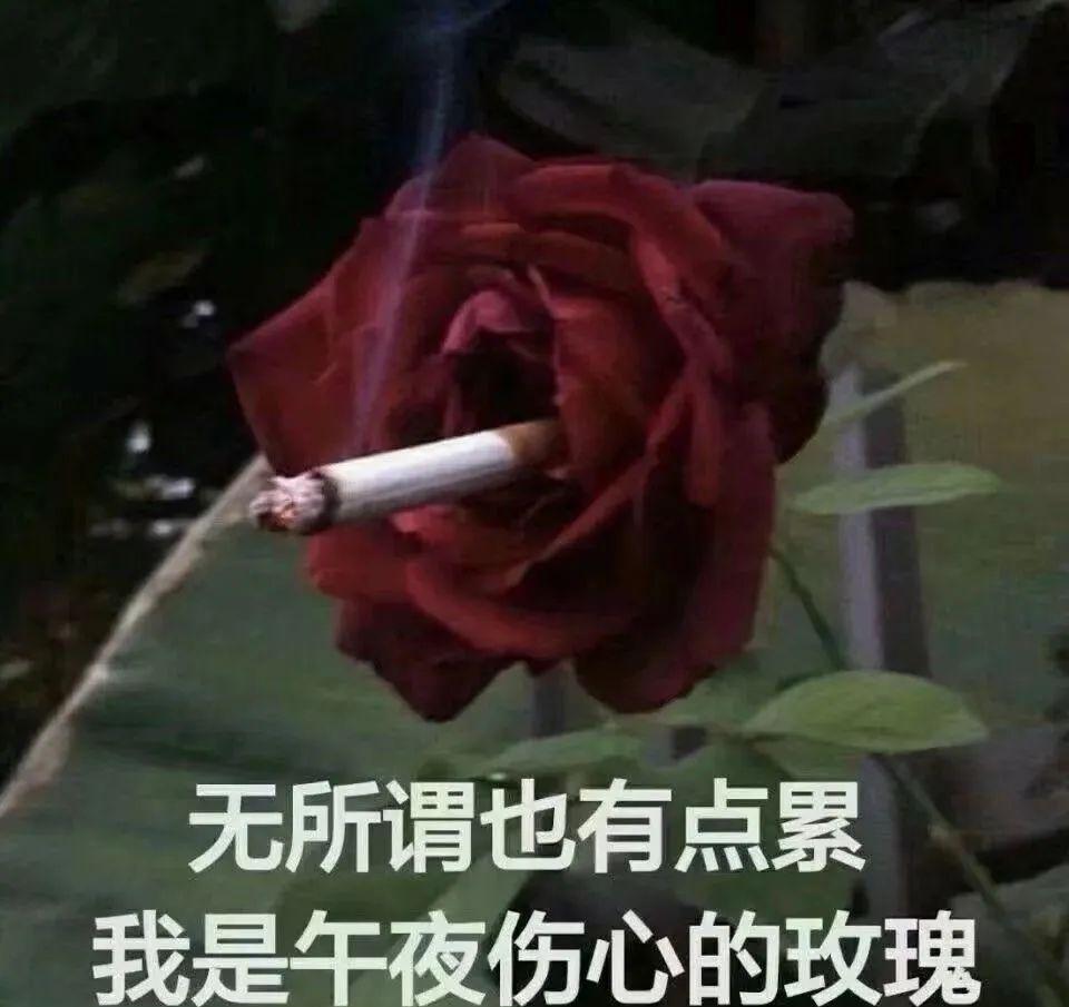 小孩过马路被撞，母亲哭的眼泪哗哗，键盘侠们的评论让人震惊  第1张