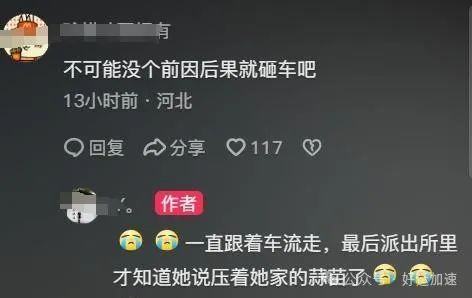 农村大妈石头猛砸奔驰车，美女车主报警后气笑：你压我家蒜苗了！  第16张