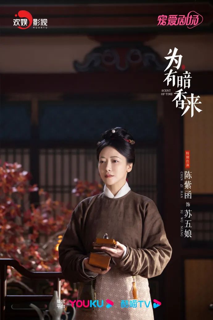 连看16集《为有暗香来》，演技没有对比就没有伤害，谁演技惊艳一目了然