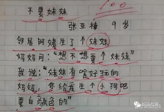 小学生作文《奶奶老了》走红，老师看完笑出鹅叫，爸爸：别啥都说