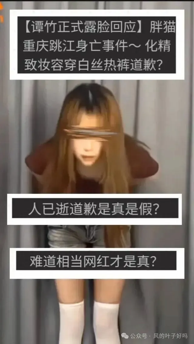 胖猫女友谭竹露脸回应很后悔：“只想和胖猫和好，想让猫猫回来”  第3张