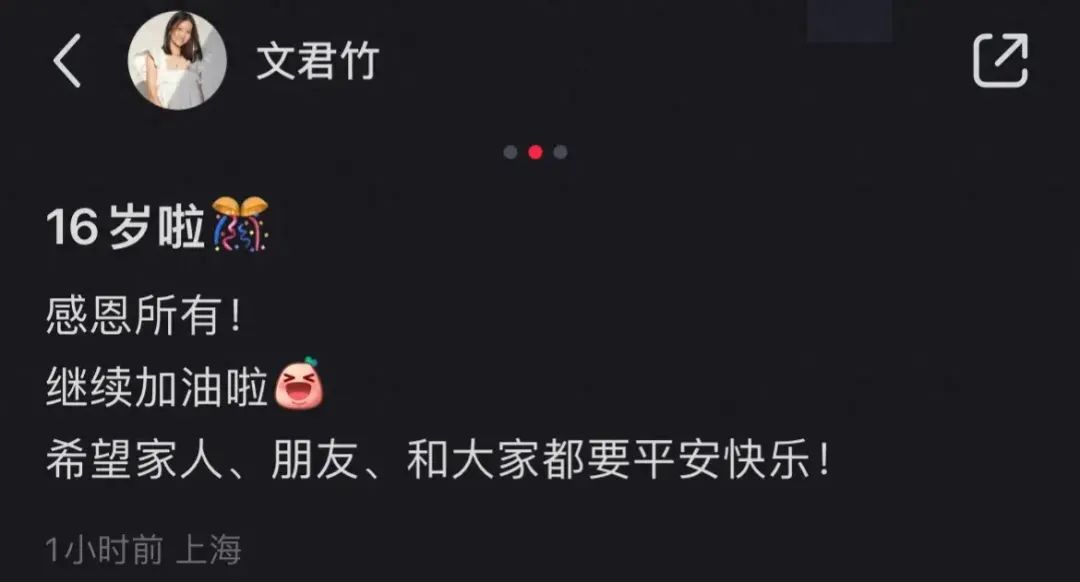 文爱马晒与马伊琍文章合影庆生，高级脸气质成熟，与文章互动暖心  第2张