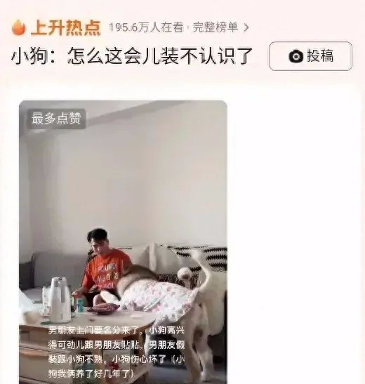 男子去女友家拜访“要名分”，小狗热情贴贴，男子紧张假装不认识狗，狗：“这会儿装不认识了？”