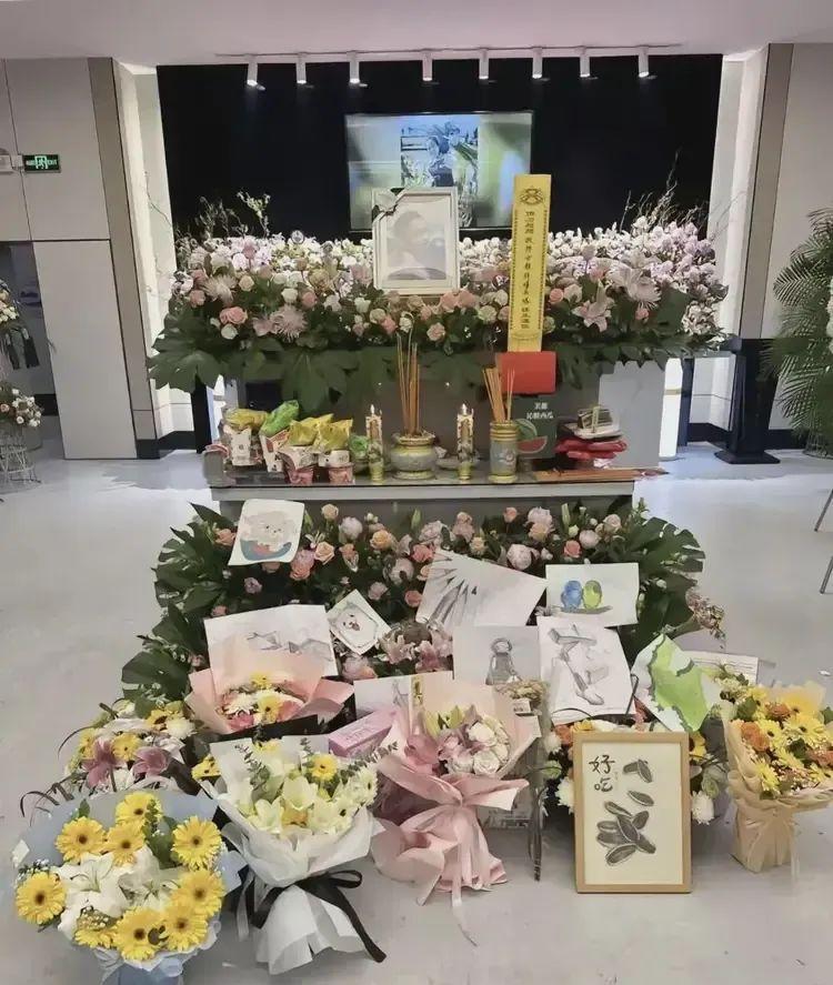 南通车祸离世女孩遗容被曝，当初生她打仨月保胎针  第10张