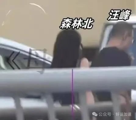 汪峰新女友疑曝光：比汪峰小19岁颜值不输章子怡，森林北身份被扒  第2张