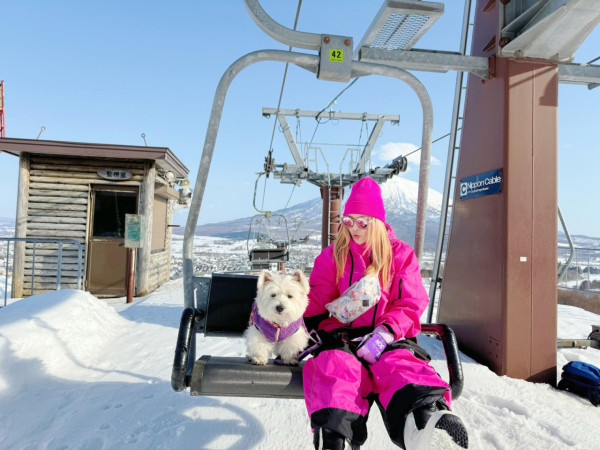 郭敏带狗狗玩足一个月在日本，私人飞机赏樱花，北海道滑雪。