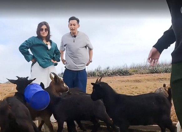ViuTV旅游节目遭批虐待动物，陈子丰被网友批评