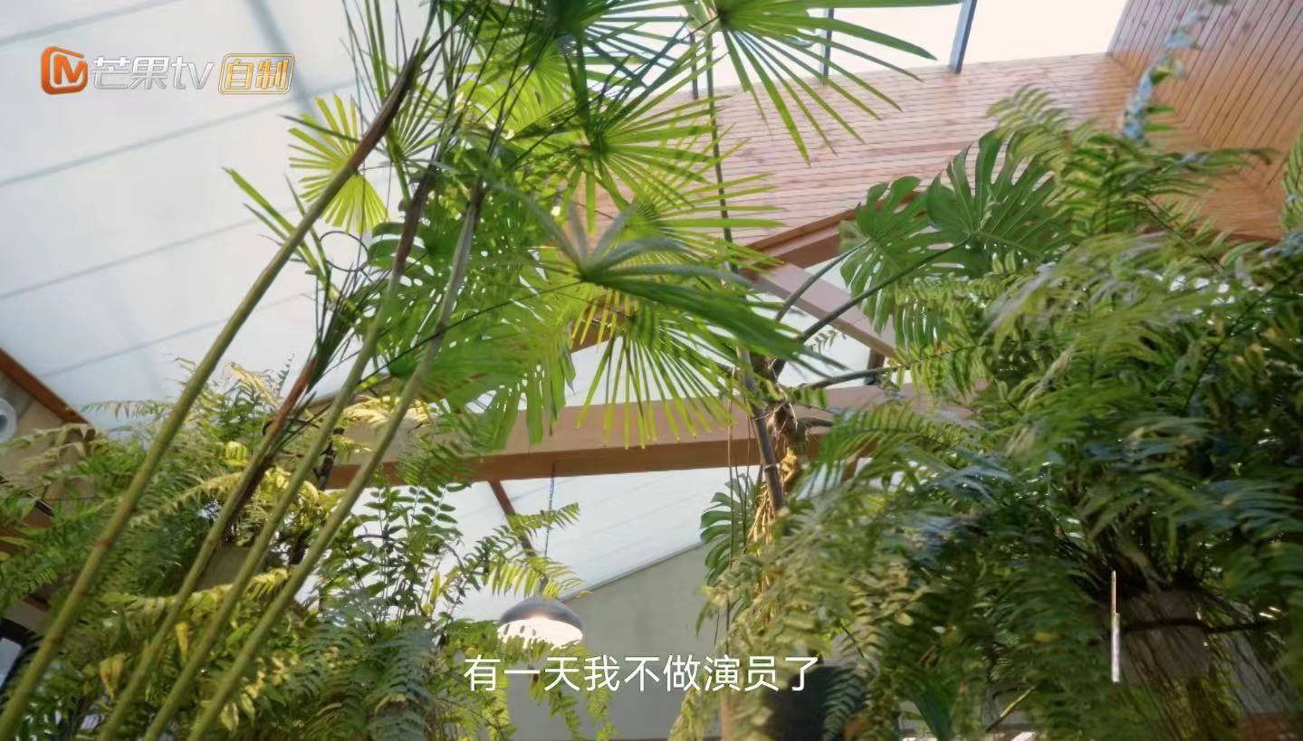 缤纷花园：芒果台的友情篇  第2张