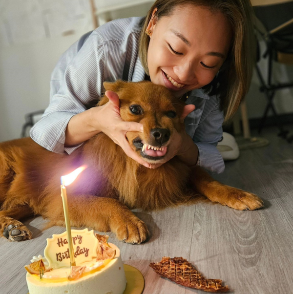 謝影雪趁愛犬7歲生日乘機自肥 唐狗啤啤超可愛：領養不棄養  第1张