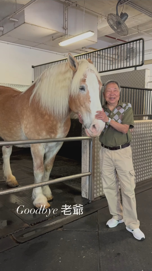 東張前主持容羨媛公布老爺突然離世消息 IG證實噩耗分享剪輯生前相處點滴  第3张